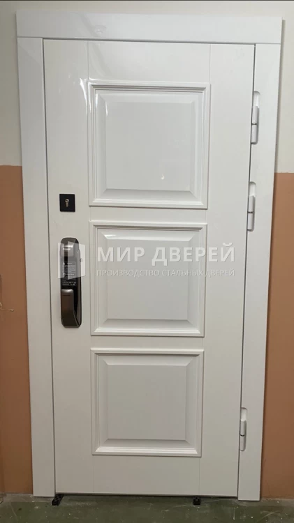 Балая входная дверь с электронным замком - фото