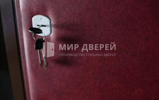 Фото двери № 304