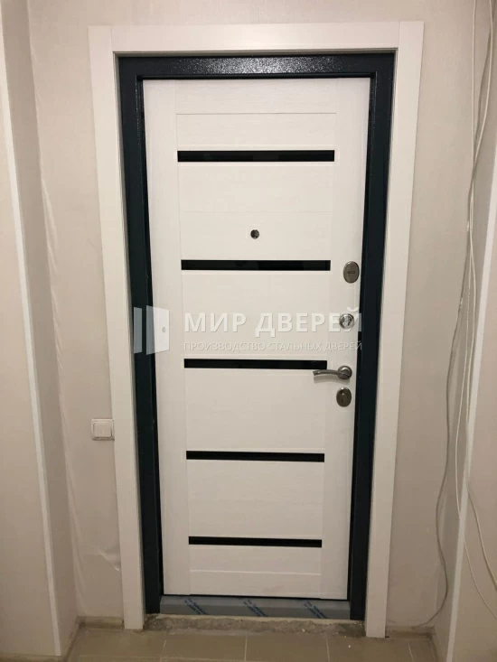 Фото двери № 437