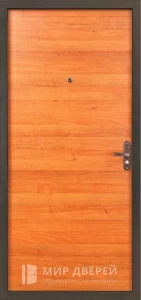 Входная дверь для дачи №5 внутренняя - фото